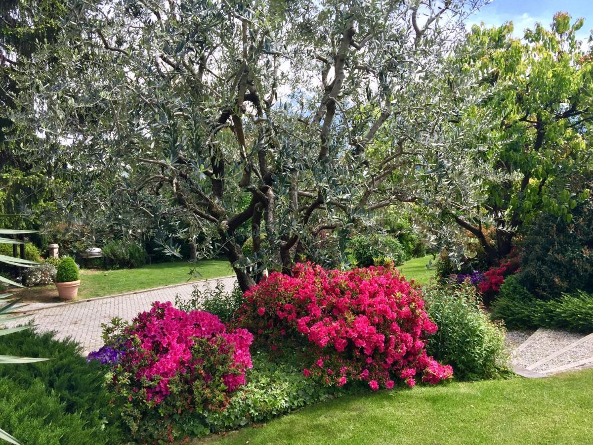 Abies Lago Di Como Dongo Eksteriør bilde