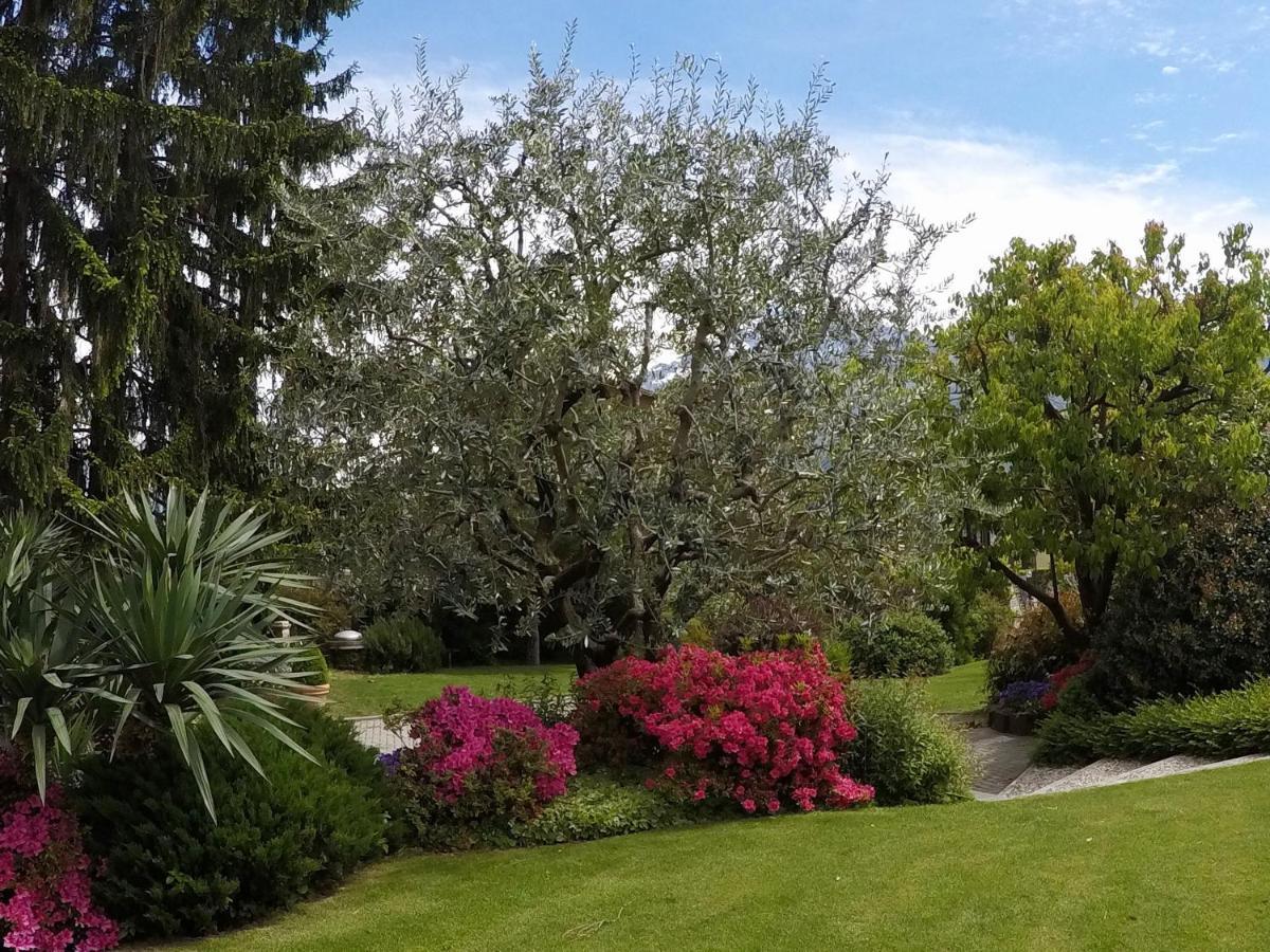 Abies Lago Di Como Dongo Eksteriør bilde