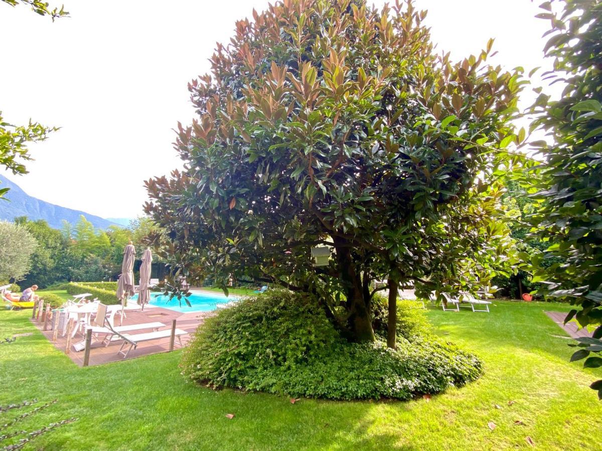 Abies Lago Di Como Dongo Eksteriør bilde